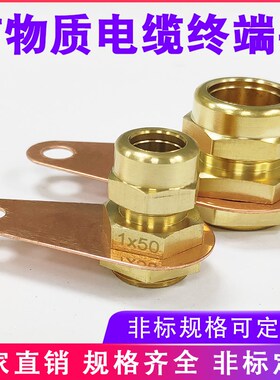 BTTRZ矿物质电缆终端头RTTZ接头终端卡子BTWTZ接地YTTW柔性大规格