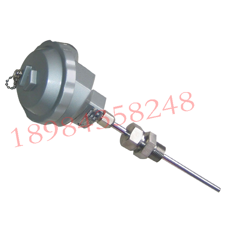 装配式热电阻WZP-320 PT100  WZP-321 双支不锈钢材质 温度传感器