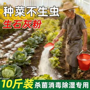 种菜专用石灰粉生石灰杀虫消毒干燥剂菜地驱蛇粉养殖土壤除湿防潮