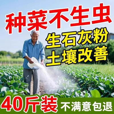 生石灰粉10斤除臭吸霉干燥剂