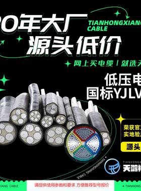 电力工程专用电线 铝芯低压电缆YJLV22 4*120+1*70阻燃性好电线