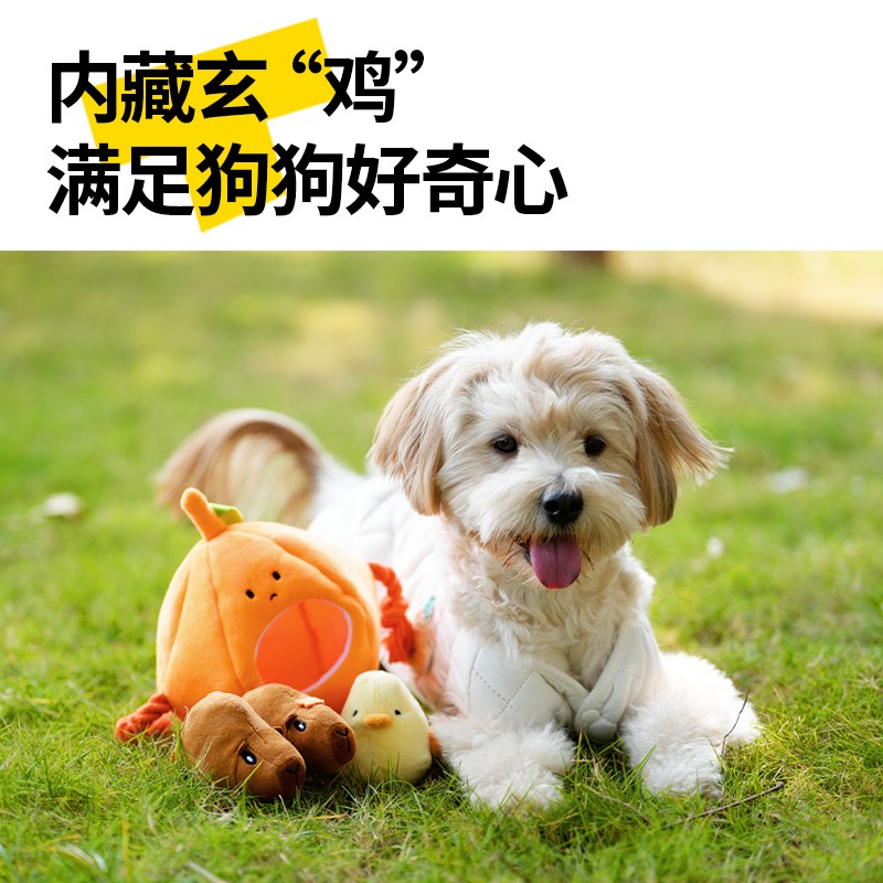 【新品】梅花脚掏掏系列狗狗发声宠物玩具自嗨洁牙解闷神器自己玩