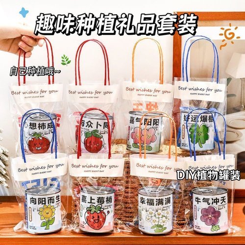 创意礼物儿童种植小盆栽生日礼物幼儿园小朋友礼品学生奖品伴手礼