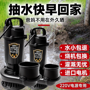 潜水泵家用220V抽水泵小型清污水泵农用灌溉排污高扬程抽水机井水