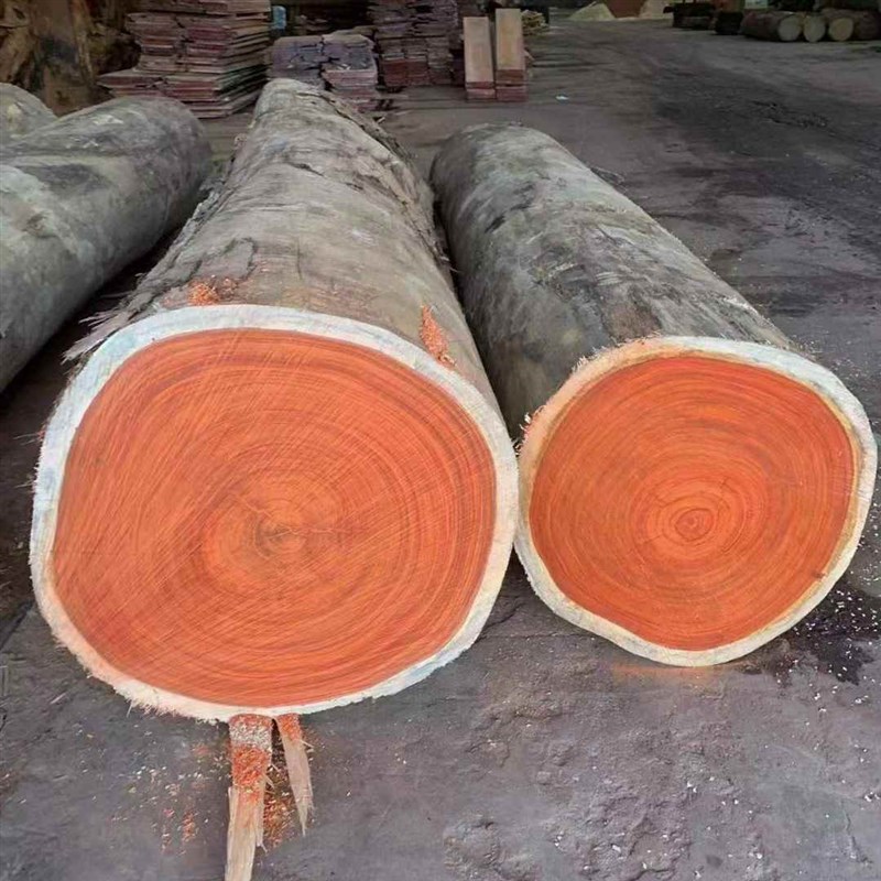 非洲红花梨原木大板 红花梨木料实木烘干板紫檀木料 家具木料手串