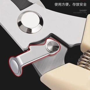 剪枝果树修枝剪刀园艺园林修花枝剪家用强力剪子神器花剪剪枝剪刀