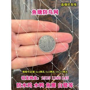 鱼塘防鸟网泥鳅塘天网养殖网牛蛙网大网眼尼龙综丝纱网防鸟用的网