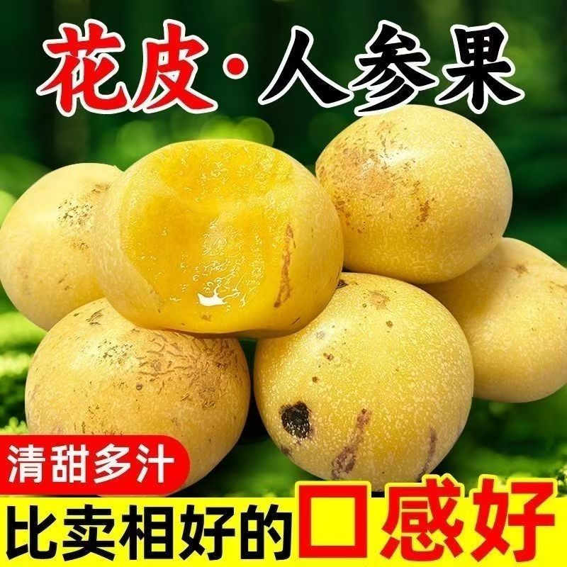 【花皮果】云南石林人参果黄肉圆果香甜多汁低糖应季水果整箱批发