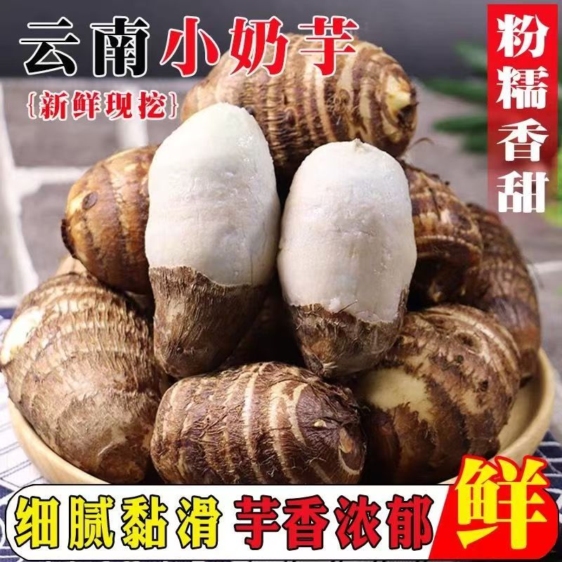 云南新鲜现挖牛奶芋头芋艿农家正宗自种香糯小香芋香糯当季蔬菜