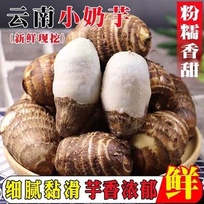 云南新鲜现挖牛奶芋头芋艿农家正宗自种香糯小香芋香糯当季蔬菜