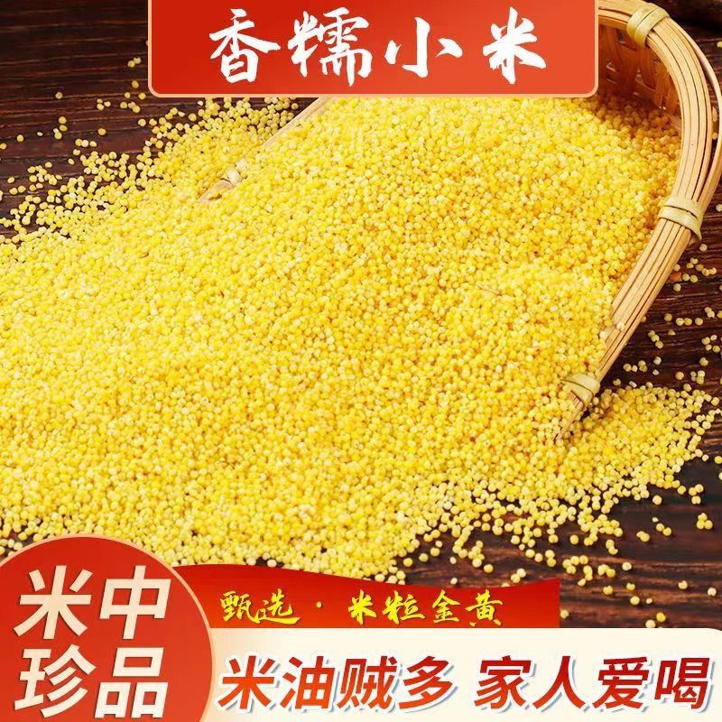 2025年新米辽宁朝阳金苗K1黄小米养胃熬粥油批发孕妇坐月子5斤装