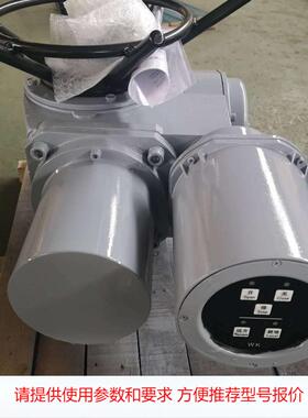 DW120-24-A00-WK智能型执行机构