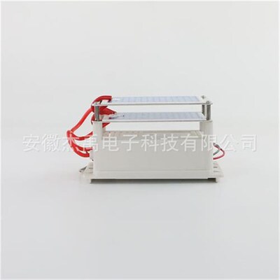 10g臭氧发生器配件 活氧消毒机 220V 长寿命防潮陶瓷片