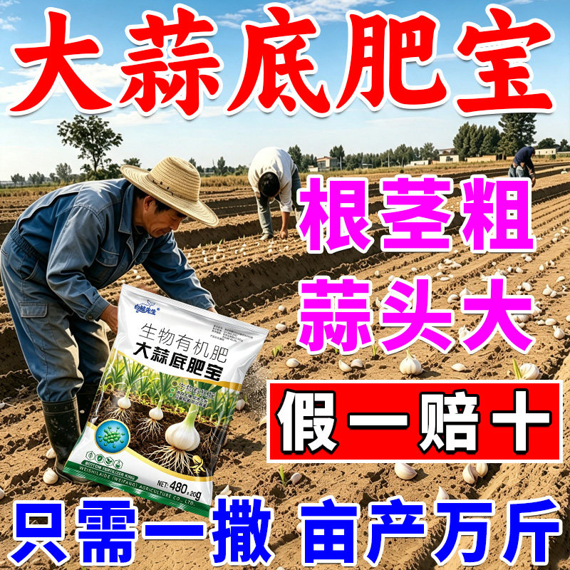 大蒜底肥宝种大蒜专用肥料