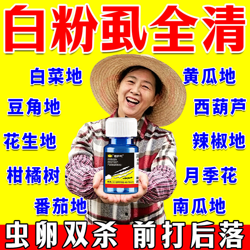 白粉虱专用强效灭白飞虱杀I虫剂花卉植物蔬菜通用专灭小飞虫专用