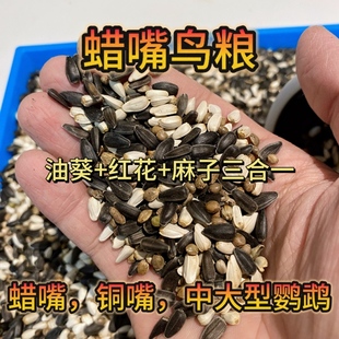 【新粮】铜嘴鸟食蜡嘴鸟饲料小太阳和尚鹦鹉粮食辣嘴子鸟粮混合粮