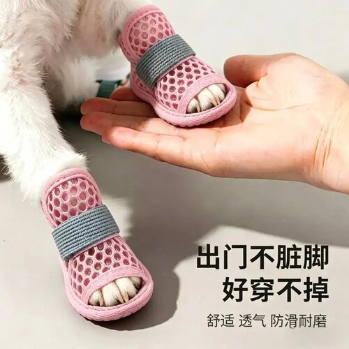 夏季透气网面小型犬漏脚尖狗鞋