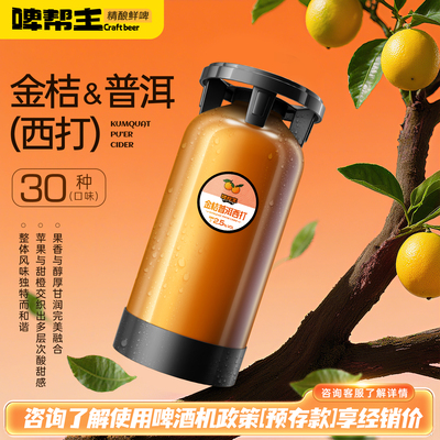 原浆鲜啤国产精酿啤酒20L升桶装餐饮酒吧打酒站商用大桶生啤酒厂