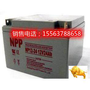 耐普蓄电池NPP12V7A17A24AH33A38AH40A65AH100A120A150A200AH电瓶