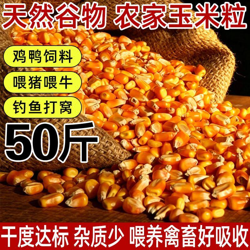 大玉米粒喂鸡鸭猪100斤50斤5斤装