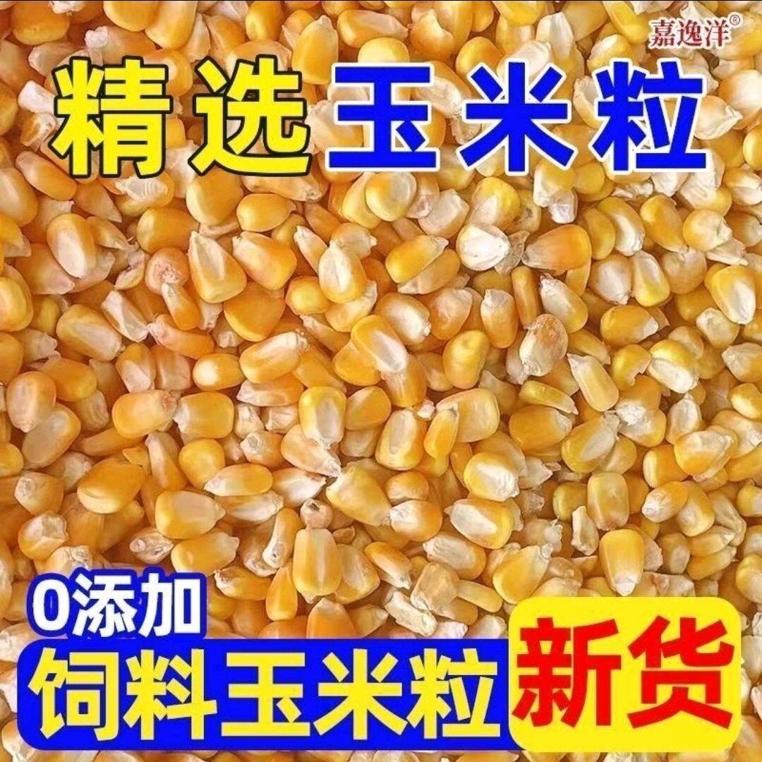 农家自种自销新鲜钓鱼饵饲料动物