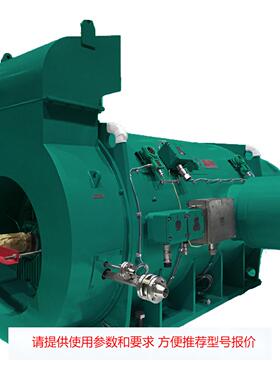 TBYBP 系列 高压隔爆型 变频 永磁三相同 步电动机