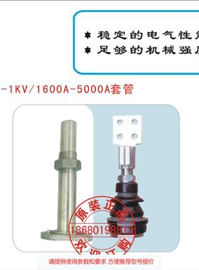 BF-1KV/1600A-5000A变压器套管