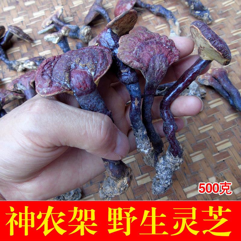 神农架纯野生赤灵林芝红芝血灵芝整祇正品天然可打磨粉特级500克