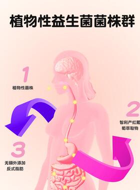 daily每日益生菌软糖轻盈活力200亿高含方菌群葡萄0量糖YHS配40味