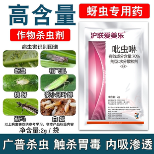 70%吡虫啉蚜虫药农药杀虫剂大全蚍虫琳花卉蔬菜哔呲虫啉 上海沪联