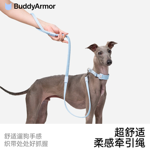 BuddyArmor超舒适柔感小中大型犬溜狗牵引绳外出弹力缓冲防爆冲