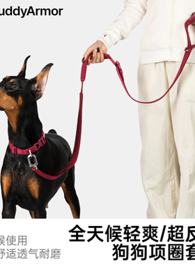 BuddyArmor全天候项圈牵引绳反光夜间外出遛狗定位防丢腰牵斜挎