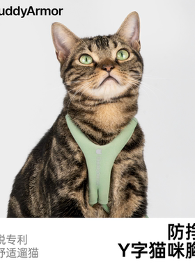 BuddyArmor防挣脱Y型猫咪胸背带外出专用遛猫