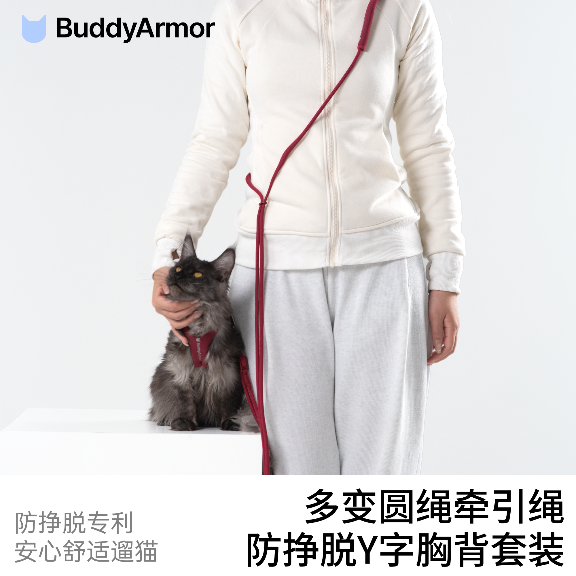 BuddyArmor防挣脱超舒适Y型胸背套装外出遛猫绳手牵腰牵斜挎,宠物/宠物食品及用品,猫牵引绳,淘宝优惠券,粉丝福利购,淘宝优惠卷
