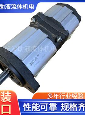 马祖奇高压双联齿轮泵GHPA2A-D-30-S1+GHPP2-D-10-FA液压站双联