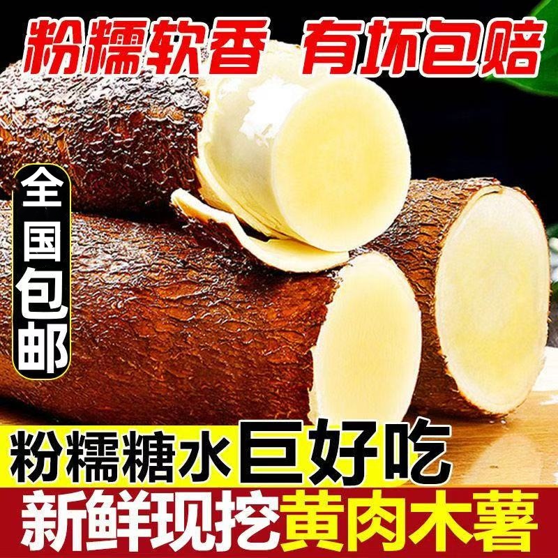 广西灵山特产黄心木薯