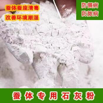 蚕宝宝专用石灰粉杀菌防潮图片