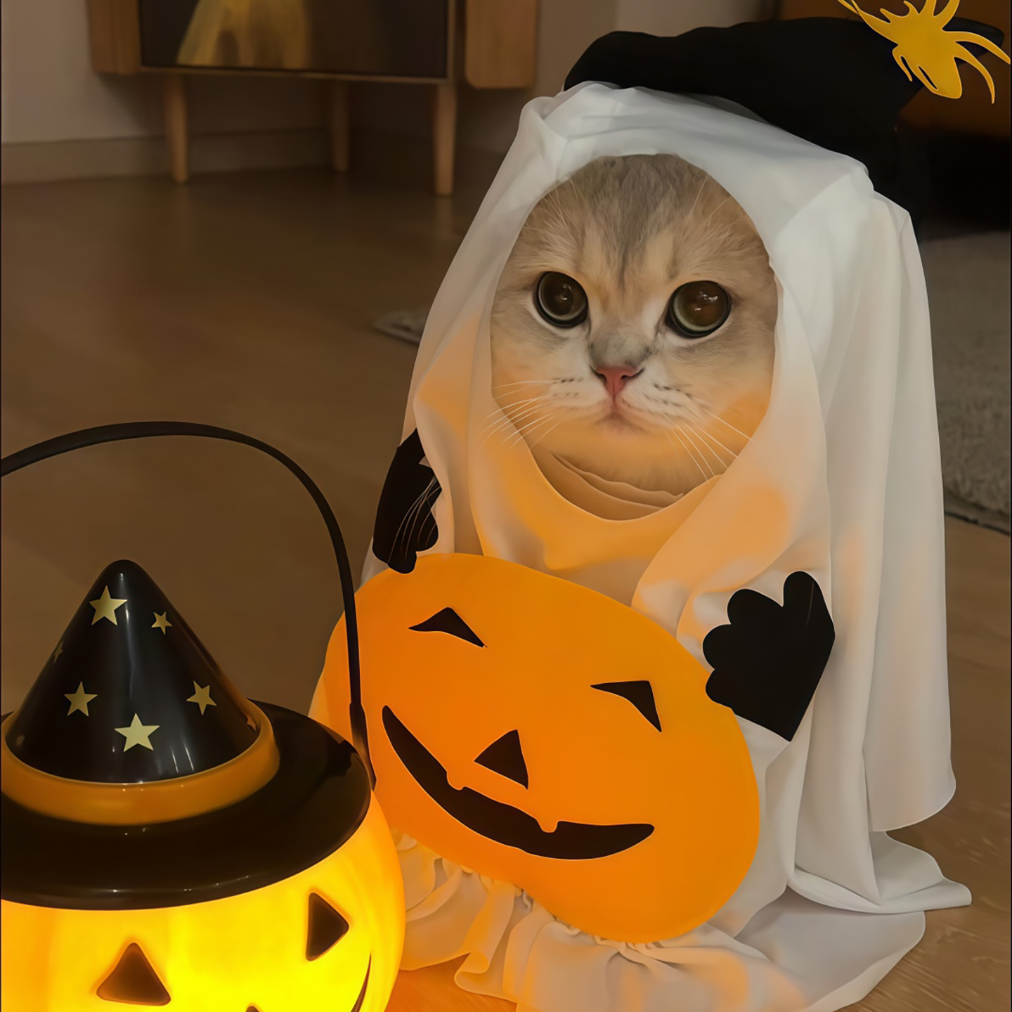 万圣节超可爱cos装扮宠物围兜猫咪衣服南瓜幽灵拍照道具变身服装