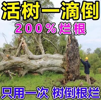 根除灭树剂树竹草大树烂根专用药