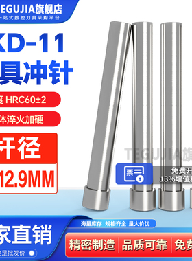 模具冲针SKD11高速钢T冲A冲非标定制冲孔8/8.3/9/10/11/12/12.9