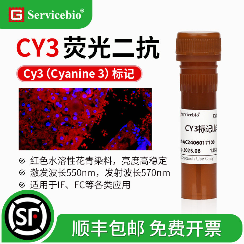 Cy3荧光素标记 红色荧光二抗 山羊抗小鼠 兔IgG (H+L) IF FC实验