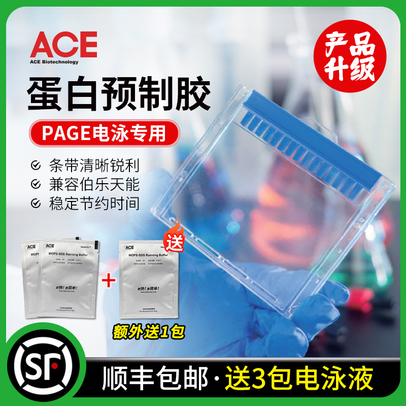 ACE蛋白预制胶兼容伯乐