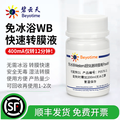 碧云天免冰浴Western转膜液干粉
