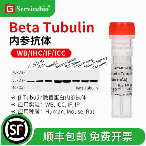 beta Tubulin 内参抗体 β-Tubulin 微管蛋白内参 WB IHC IF ICC