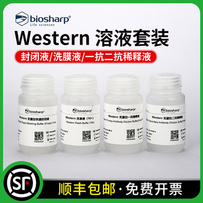 Western溶液套装WB试剂套装封闭液洗膜液抗体稀释液