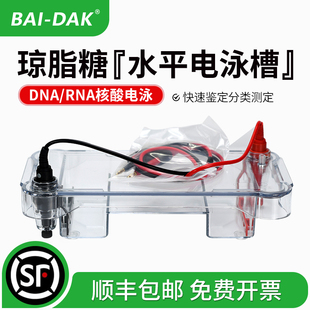 百达康 核酸水平电泳仪 电泳槽 琼脂糖水平电泳仪 DNA核酸电泳槽 DYCZ-SUB2