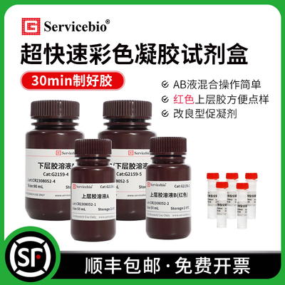 赛维尔 超快速彩色凝胶配制试剂盒 PAGE制胶 AB液混合 红色上层胶
