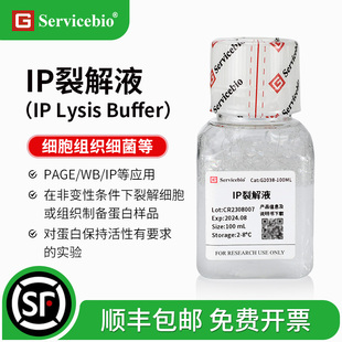 赛维尔 Servicebio IP裂解液  非变性条件下裂解细胞/组织 提蛋白