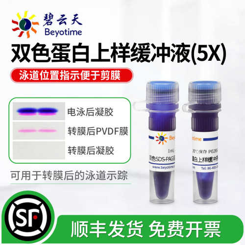 碧云天SDS-PAGE蛋白上样缓冲液