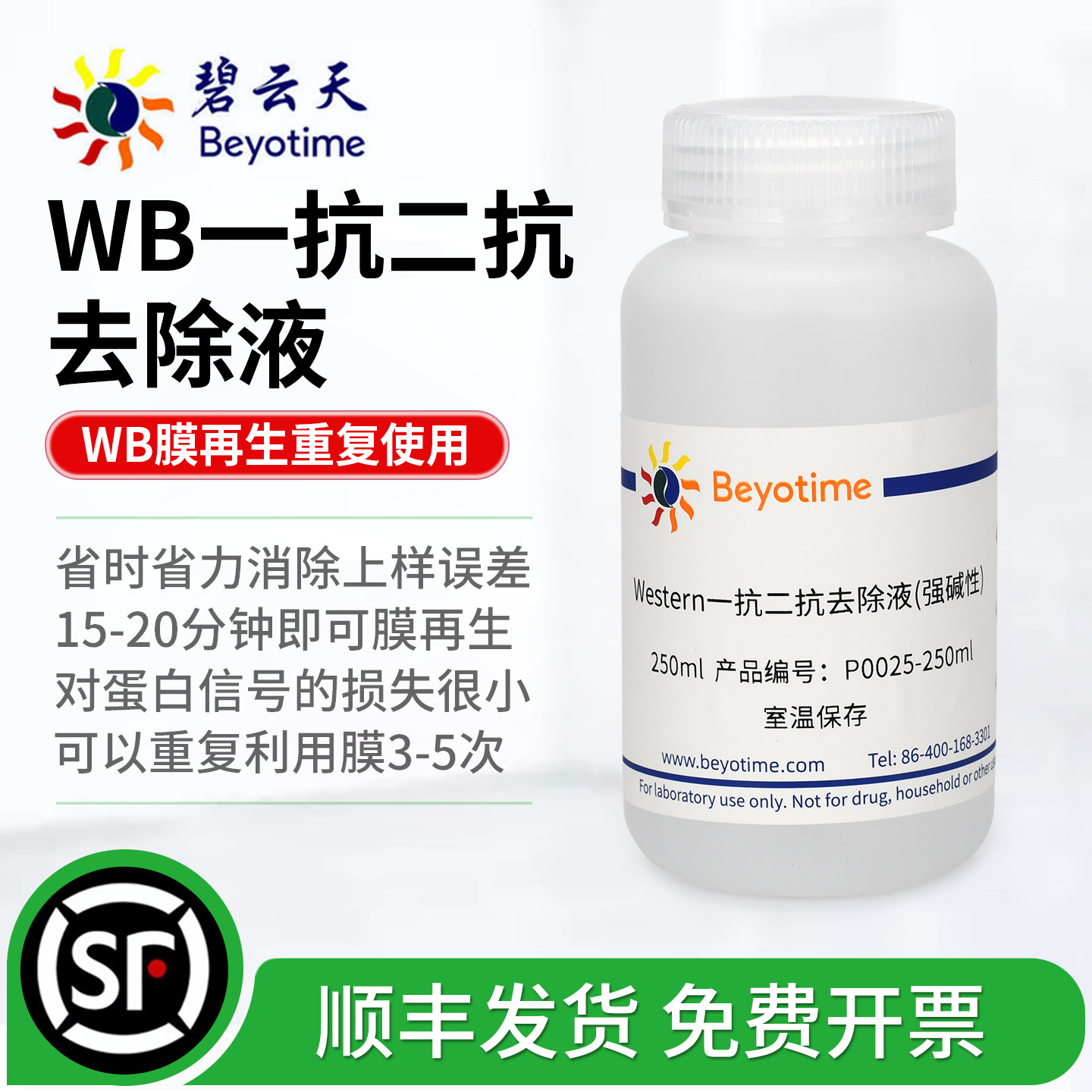 碧云天Western一抗二抗去除液